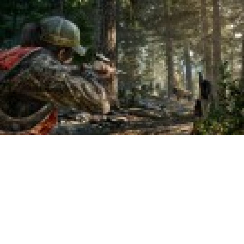 Far Cry 5 [PS4]